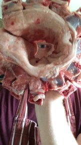 My meaty oculus. I see you!